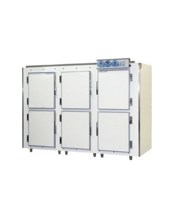 Conservateur 6 portes - 20°C - 67 plaques 400x600